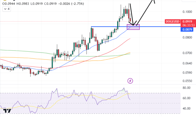 Dogecoin Price Prediction as ‘Excess Bullish Leverage’ Leads to Sharp Drop – Is the Market Resetting?