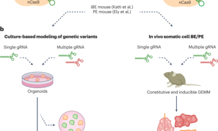 Cancer variant modeling in vivo