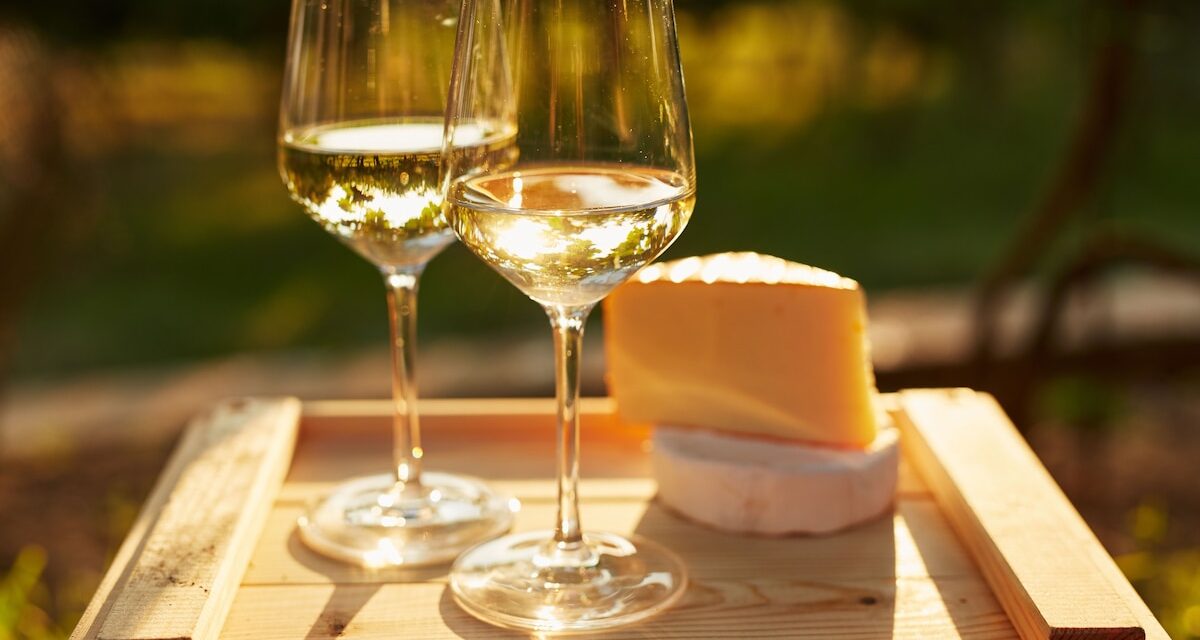 Which wines to pair with cheese this Christmas