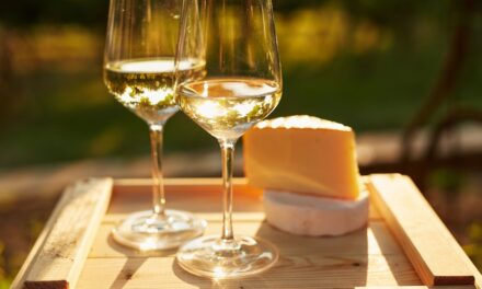 Which wines to pair with cheese this Christmas