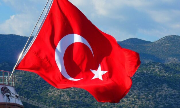 Crypto Expert Chosen by Erdogan for Turkey’s Central Bank Board