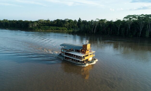 11 of the best wildlife cruises for 2024 and beyond