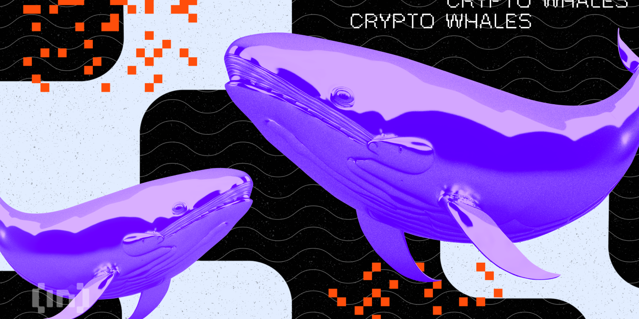 Whales Accumulation: On-Chain Platform Flags Withdrawals of These Four Tokens