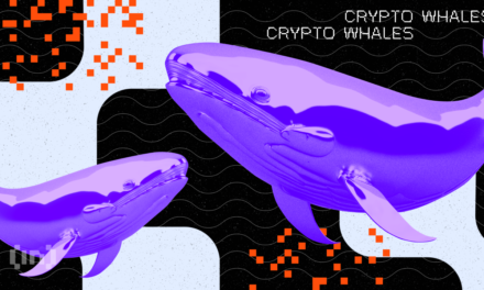 Whales Accumulation: On-Chain Platform Flags Withdrawals of These Four Tokens