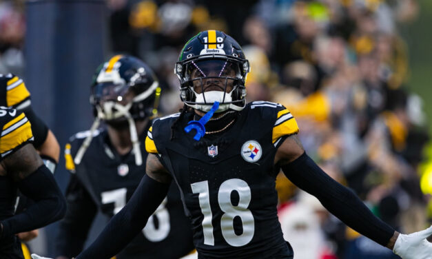 Steelers’ Rooting Guide for NFL Playoff Implications of Week 17