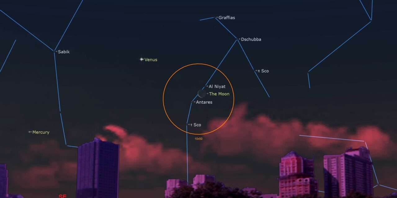 Watch red supergiant star Antares pass behind the moon early on Jan. 8