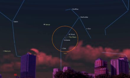Watch red supergiant star Antares pass behind the moon early on Jan. 8