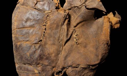 Is this the world’s oldest saddle?
