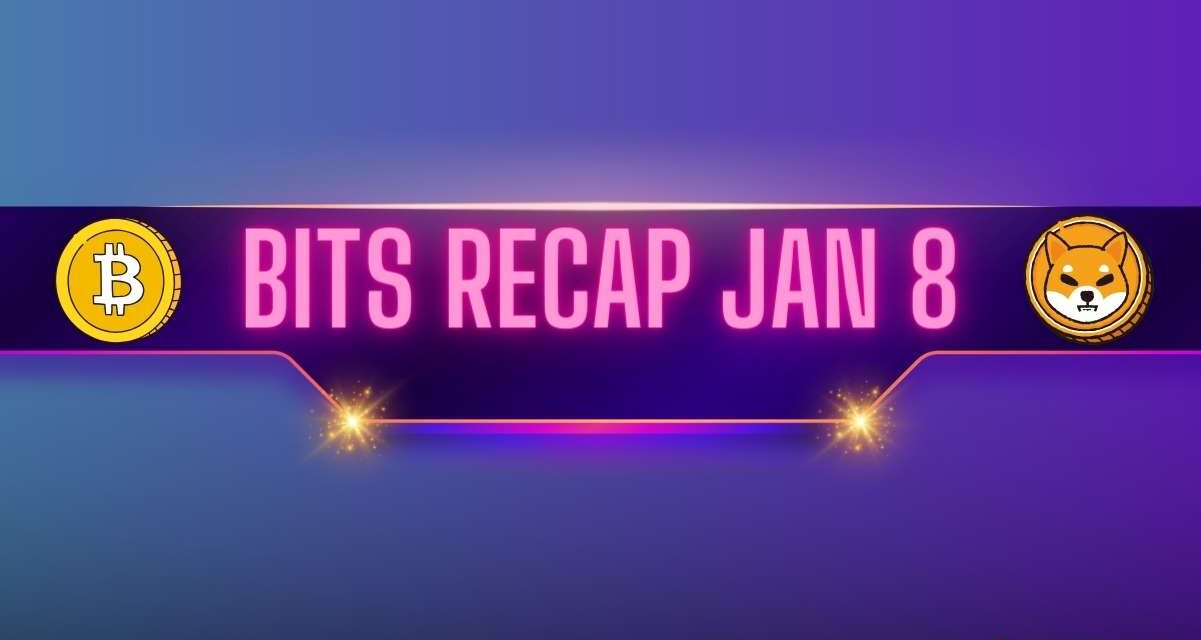 Bitcoin (BTC) Price Predicions, Solana (SOL) Volatility, Shiba Inu (SHIB) Developments: Bits Recap Jan 8