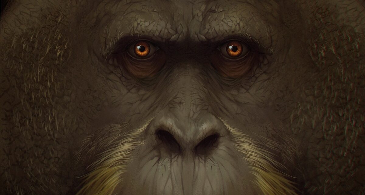 This 10-foot ape was the largest primate ever. What happened to it?