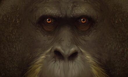 This 10-foot ape was the largest primate ever. What happened to it?