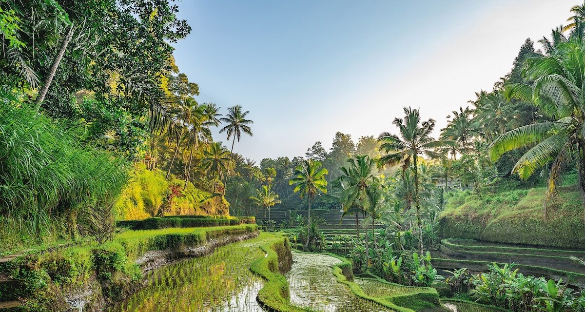 A taste of Bali, from spit-roast pig to sticky rice pudding