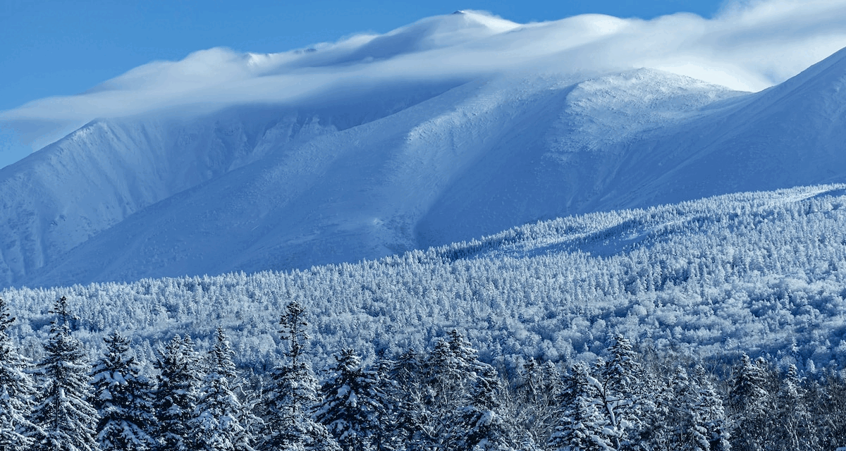 Hokkaido on four wheels: How to explore Japan’s wild north