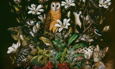 The beauty of wildlife — and an artistic call to protect it | Isabella Kirkland