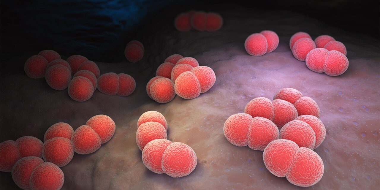 Fighting Back Against Acute Bacterial Meningitis