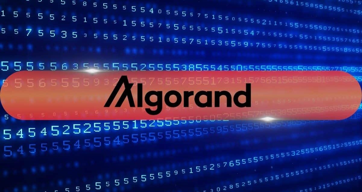Algorand Foundation CEO’s X Account Hacked