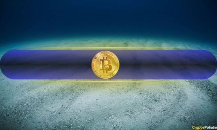 What Needs to Happen for Bitcoin to Mark a Local Bottom? CryptoQuant Reports
