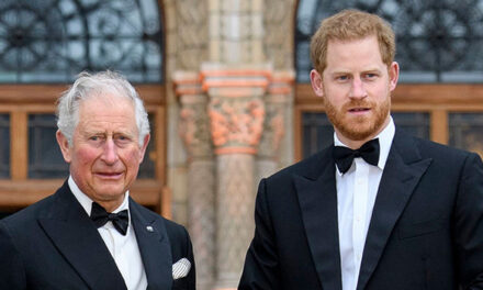 Prince Harry Pokes Fun at His Father King Charles III at Aviation Event Amid Rumored Family Rift