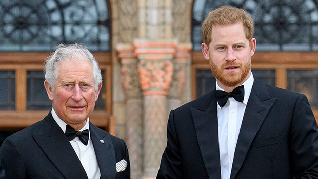 Prince Harry Pokes Fun at His Father King Charles III at Aviation Event Amid Rumored Family Rift