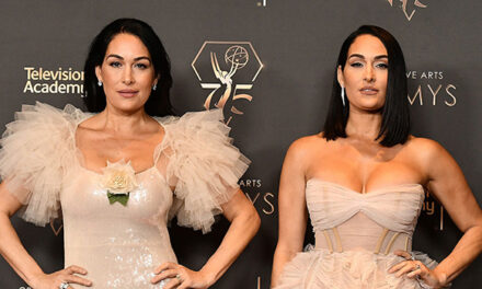 Nikki & Brie Garcia React to Sexual Assault Claims Against Vince McMahon & Stepdad: ‘We Are Shocked’