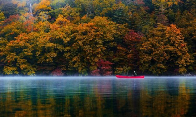 Retreat to Japan’s Natural Wonders