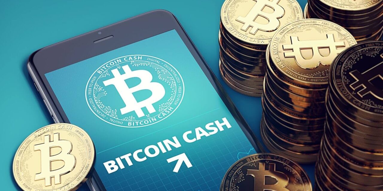 DAI Flips Bitcoin Cash; Is SHIB Next as Traders Eye New Memes?