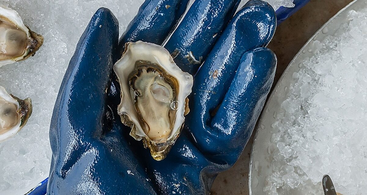 Northern California’s oyster capital is a hidden gem