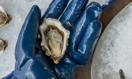 Northern California’s oyster capital is a hidden gem