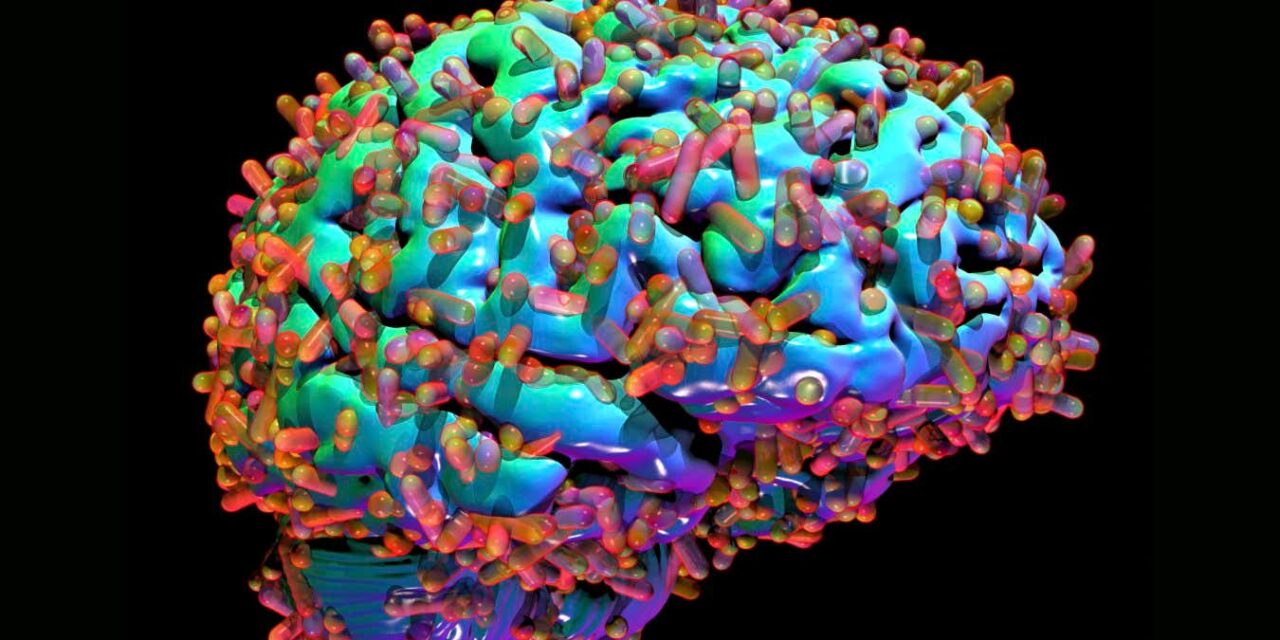 Why the brain’s microbiome could hold the key to curing Alzheimer’s