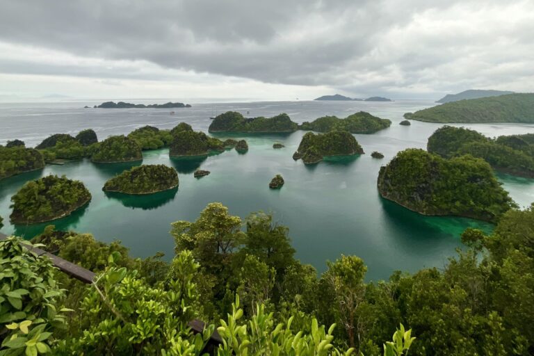 Can ecotourism protect Raja Ampat, the ‘Crown Jewel’ of New Guinea?