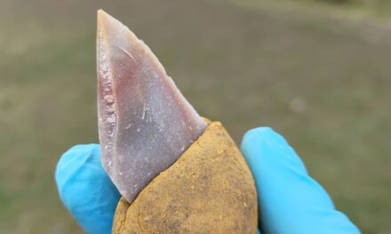 Neanderthals likely used glue to make tools
