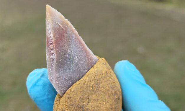 Neanderthals likely used glue to make tools
