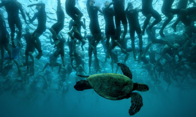 Ironman will continue to rotate World Championship between Kona and Nice in coming years