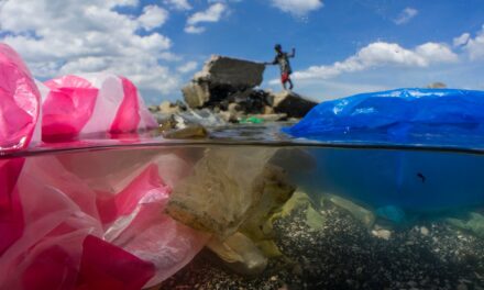 Plastic pollution facts and information