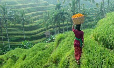 How to plan a trip to Bali, Indonesia