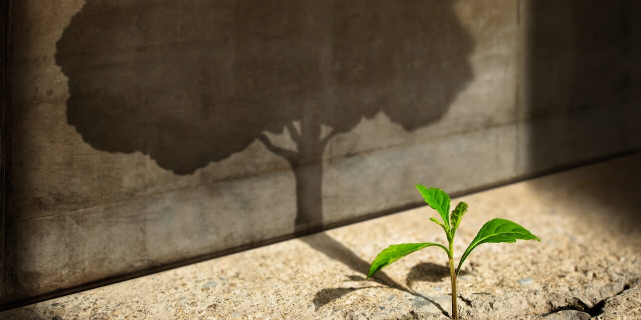 Develop your sustainability business strategy