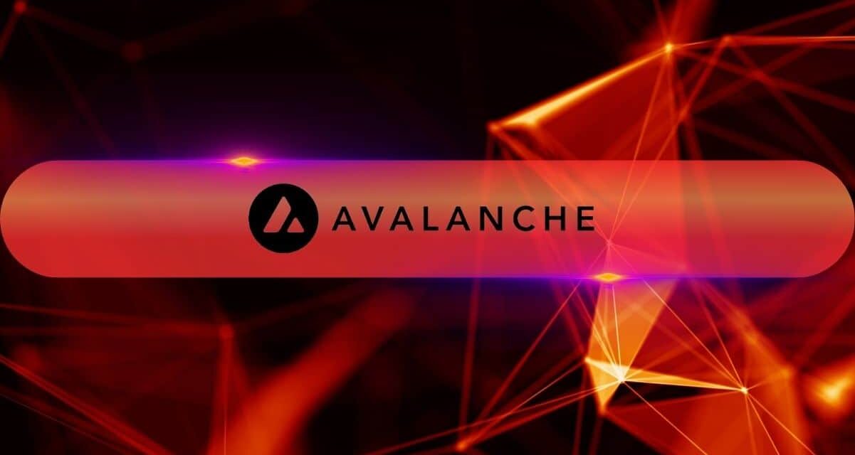 Avalanche Hits $329M in Daily Large Transaction Volume as AVAX Reaches May 2022 Levels: ITB