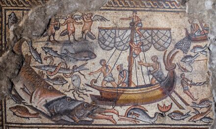 See the story of Jonah and the whale like never before