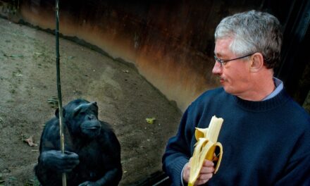 Frans de Waal, biologist who championed animal intelligence and emotion, dies at 75