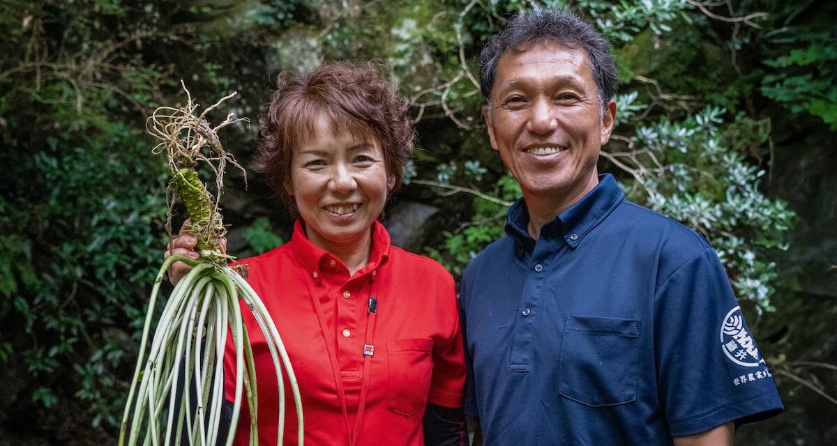 This couple quit the city to grow wasabi in Japan’s mountains