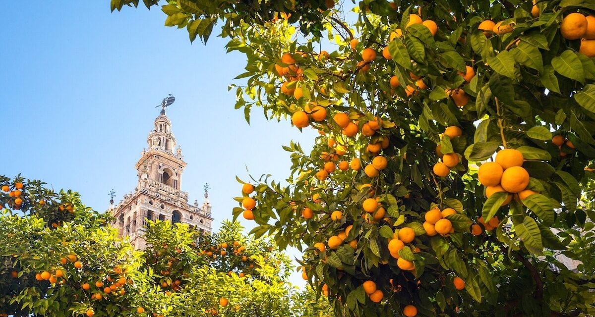 Where to travel in April