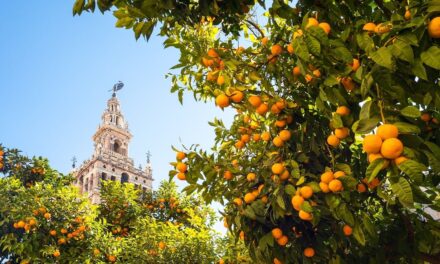 Where to travel in April