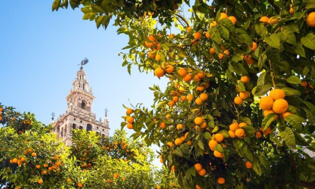 Where to travel in April