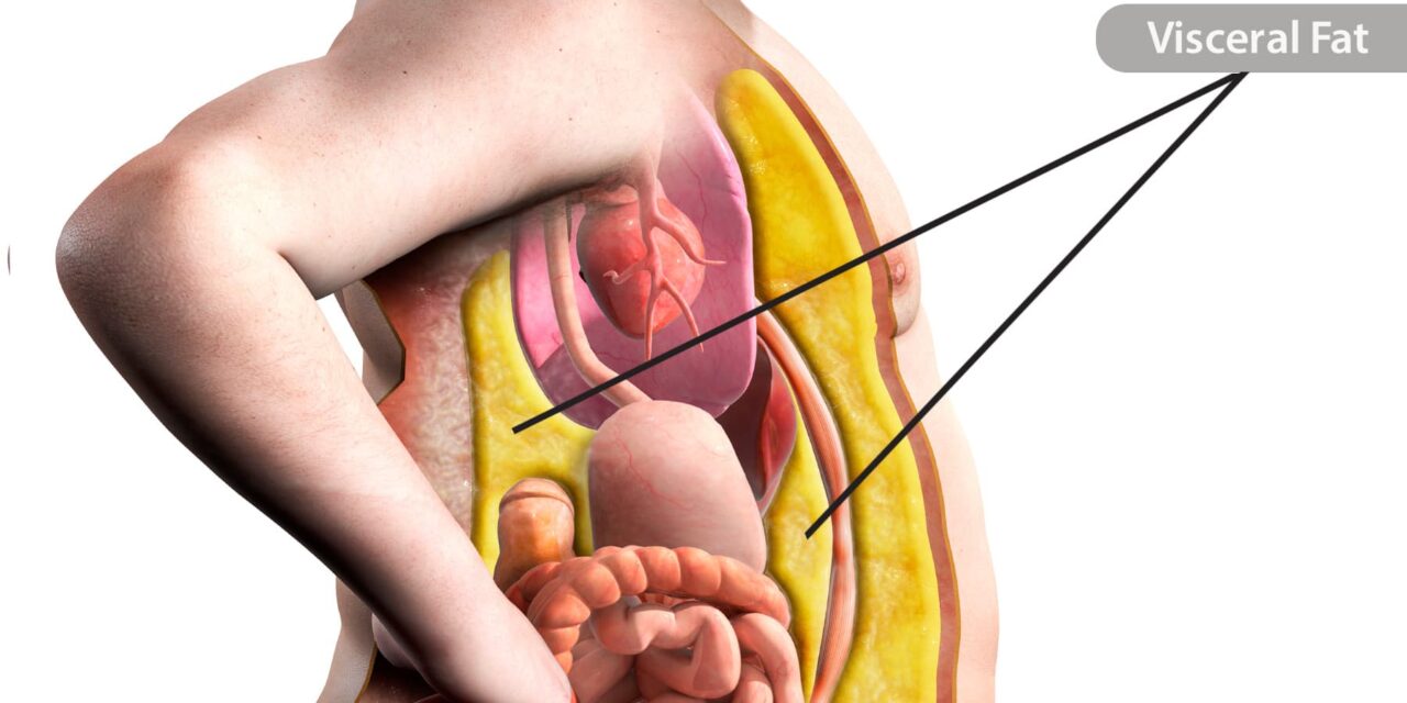 The Truth About Belly Fat