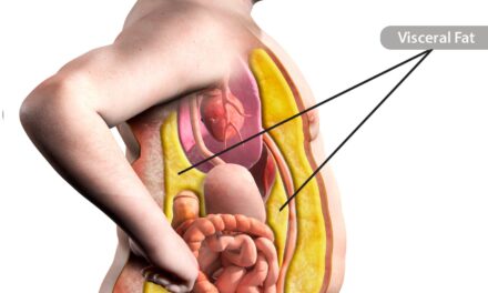 The Truth About Belly Fat