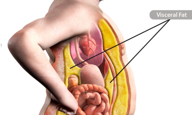 The Truth About Belly Fat