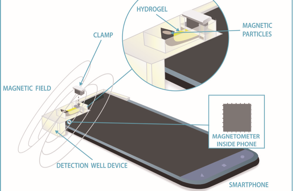 NIST researchers use cellphone compass to measure glucose
