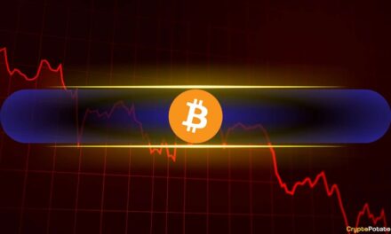 Bitcoin (BTC) Could Witness Further Price Declines if This Happens