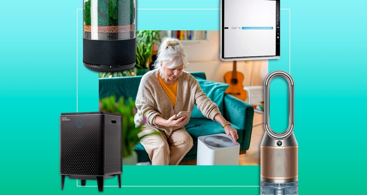 The best air purifiers for 2024