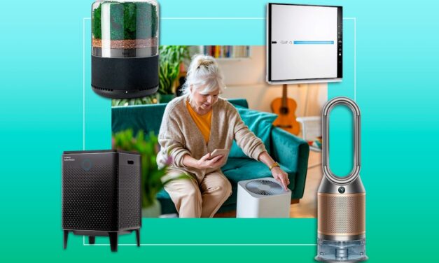 The best air purifiers for 2024